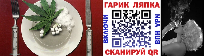 Cannafood конопля  Купить закладки  Терек 