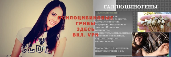 spice Балахна