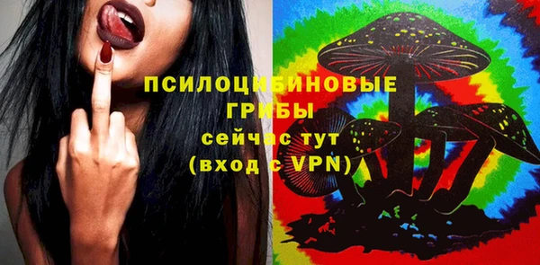 spice Балахна